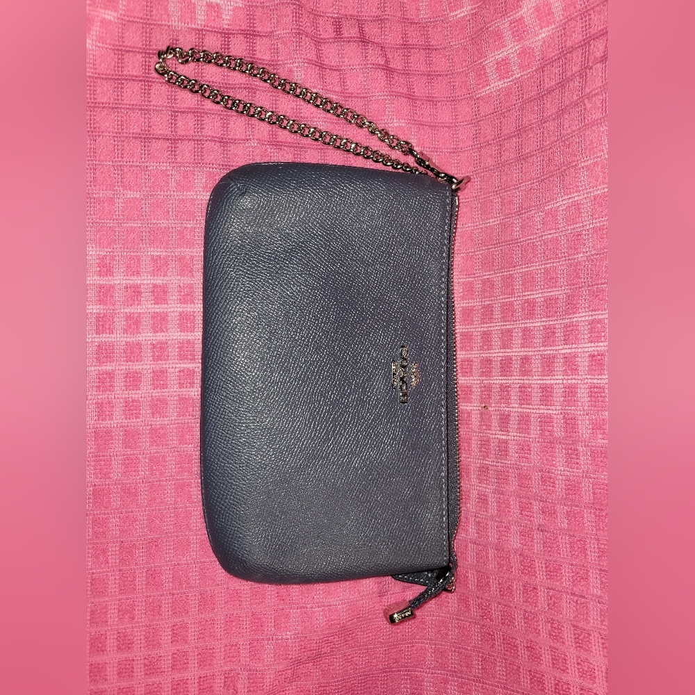 Coach Blue Leather Wristlet Bag F73044